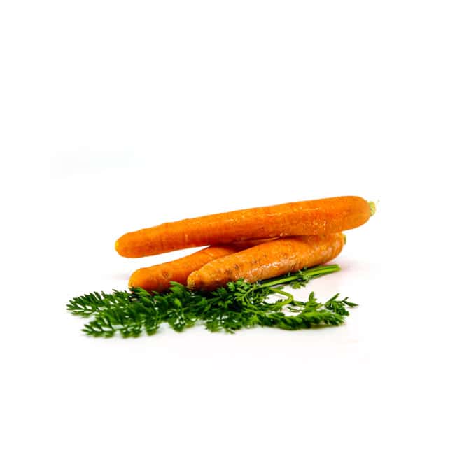 Karotten (Bio)