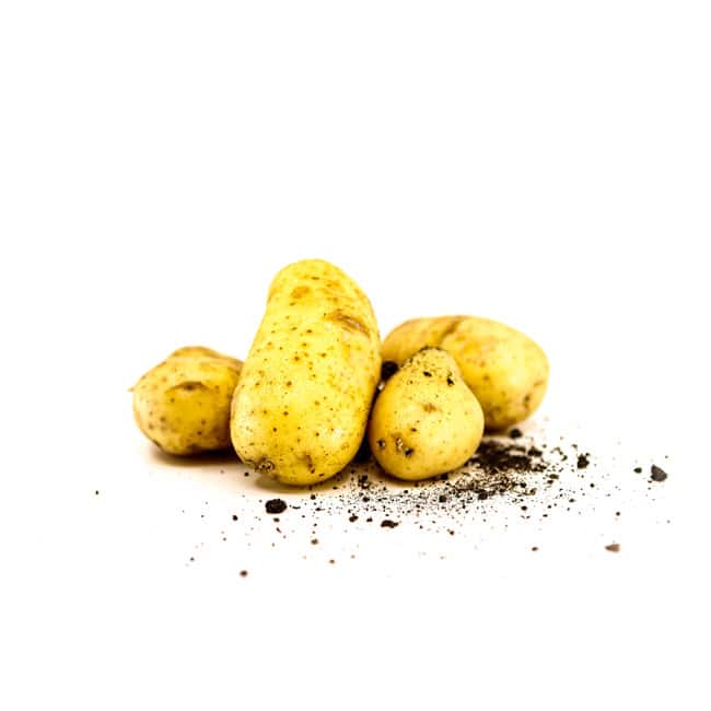 Kartoffeln (Bio) 2022