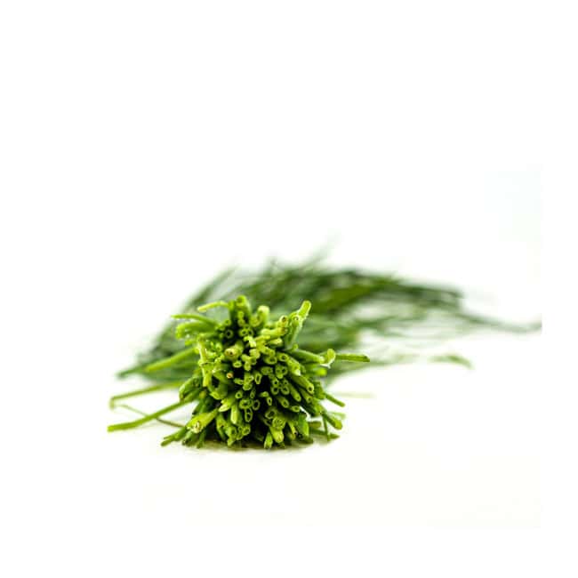 Schnittlauch (Bio)