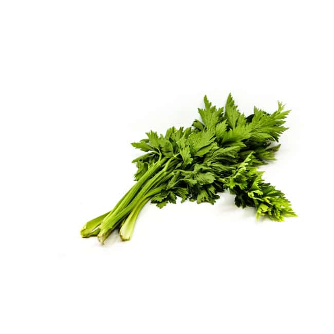 Stangensellerie (Bio)