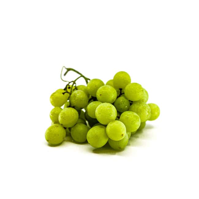 Trauben weiss Chasselas