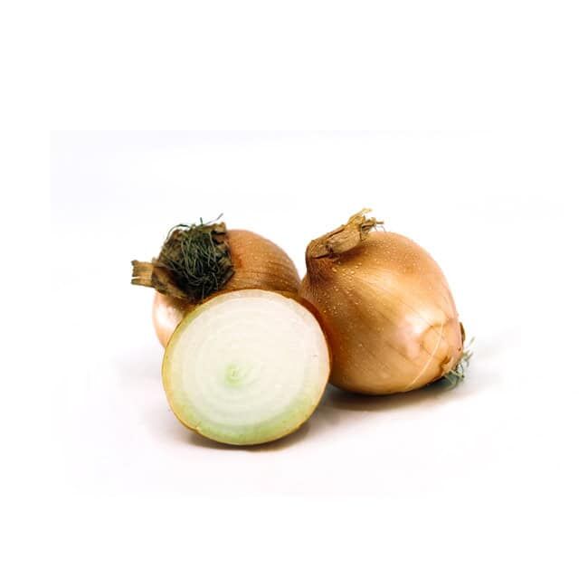 Zwiebeln (Bio)